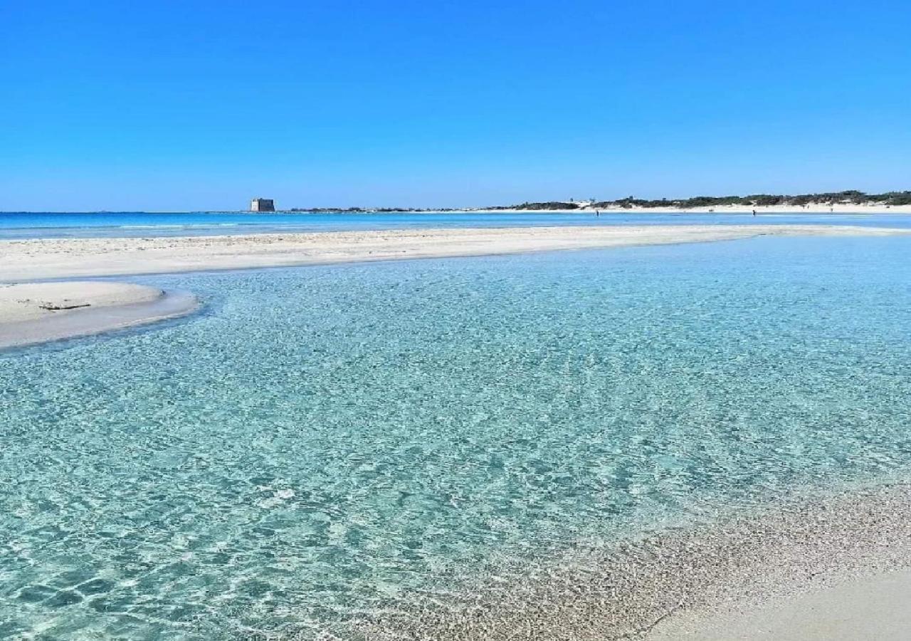 Arneide Torre Lapillo